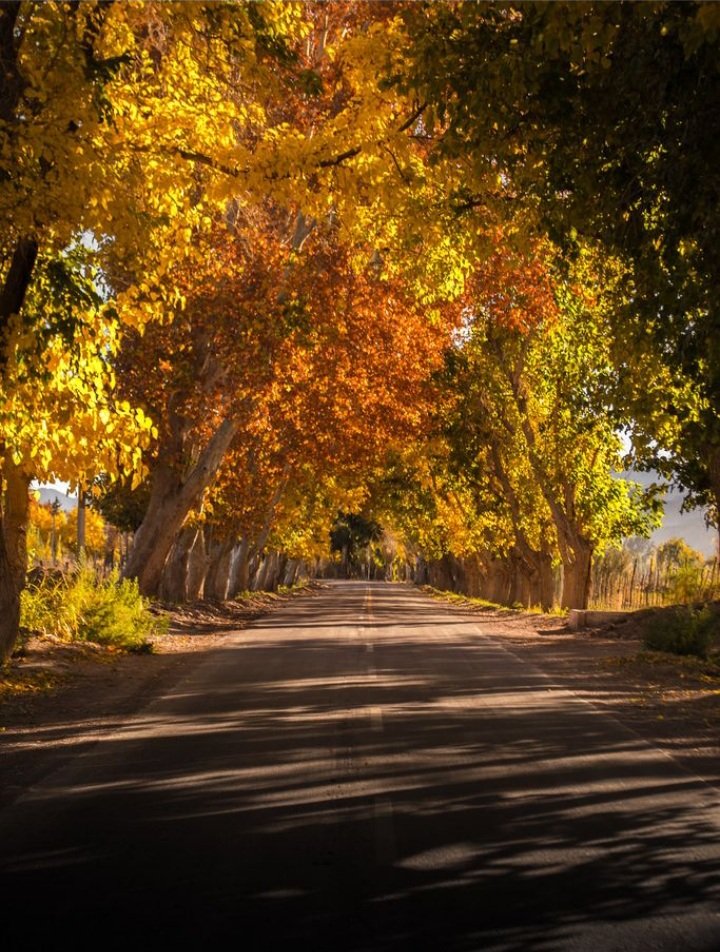 Otoño en San Juan 💙🇦🇷
📷 Gabo Penisi
#Argentinaenímagenes