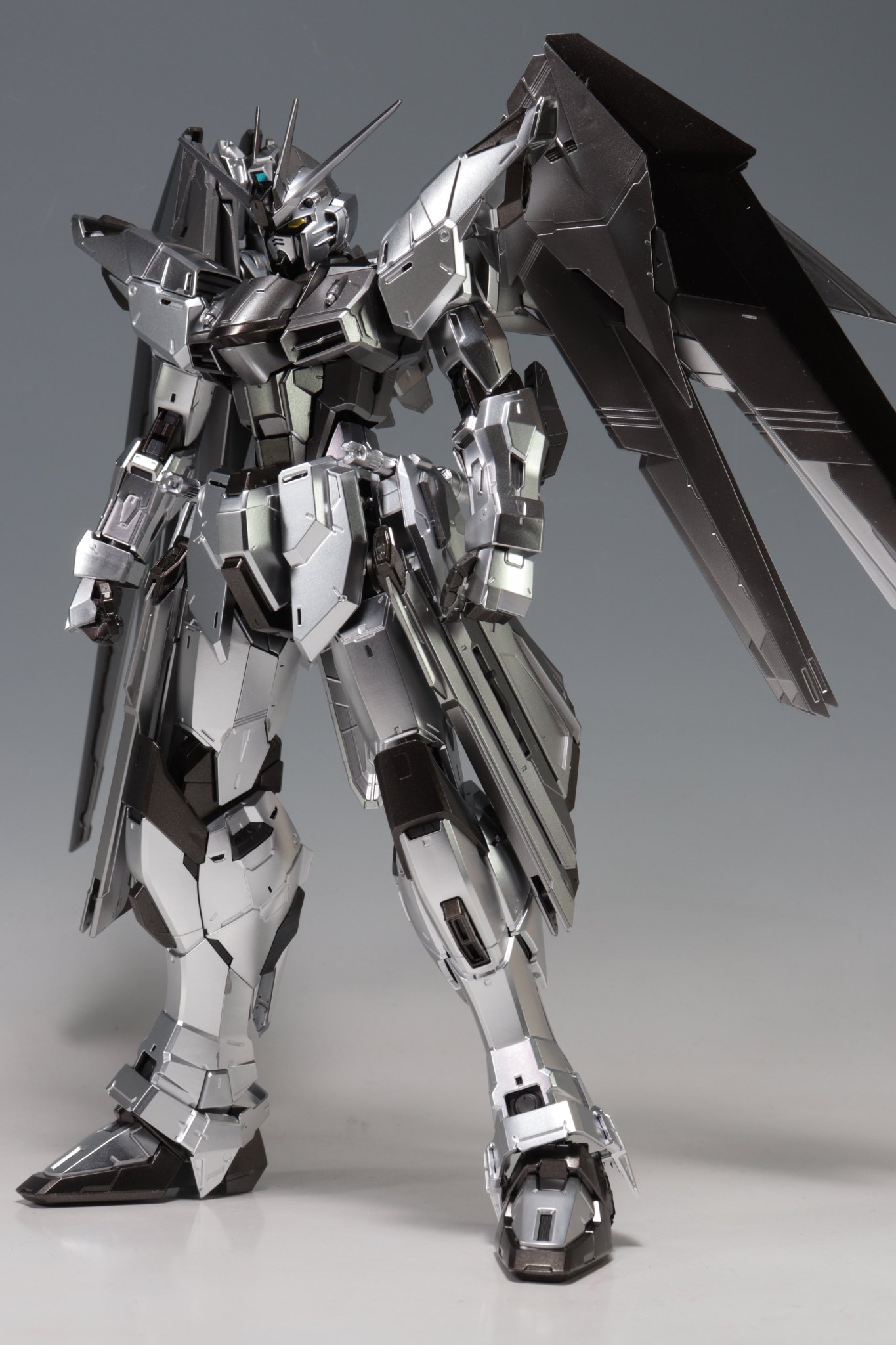 ガンダムSEED　MG フリーダムガンダム　シルバーコーティング