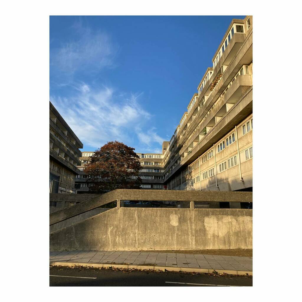 leaf_dock's tweet photo. Brutalism in Southampton, Wyndham Court spotted on a recent client visit.
.
I enjoy the juxtaposition of the large, mature oak tree at the heart of this concrete courtyard.
.
#dockleaf
#dockleafmarketing
#clientvisit
#architecture
#southamptonarchitecture
#architecturema… https://t.co/v4MwQ1QhbK
