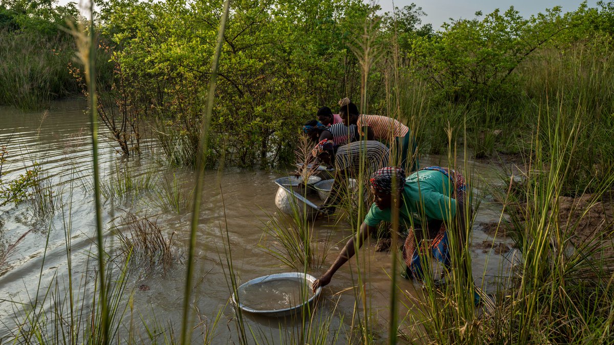TREEAID's tweet photo. #WorldWaterDay
Addressing water crises is a top priority for us - we work with communities to:
💧 Implement rainfall conservation methods
🌳 Grow #droughtresistant trees
🌊 Reduce the impacts of flooding & #soil erosion
🏞️ Restore the health of rivers
https://t.co/FbW60OFPZj https://t.co/fVFGVkuZ78