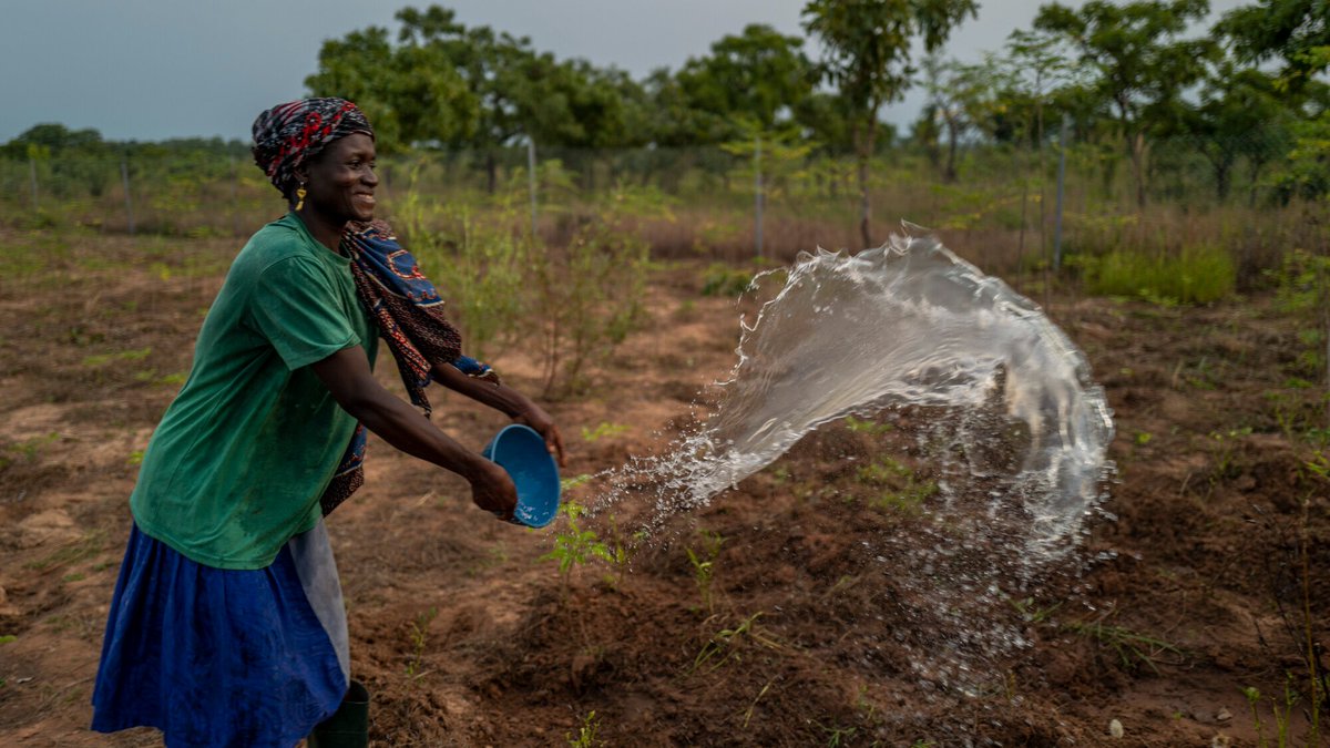 TREEAID's tweet photo. #WorldWaterDay
Addressing water crises is a top priority for us - we work with communities to:
💧 Implement rainfall conservation methods
🌳 Grow #droughtresistant trees
🌊 Reduce the impacts of flooding & #soil erosion
🏞️ Restore the health of rivers
https://t.co/FbW60OFPZj https://t.co/fVFGVkuZ78