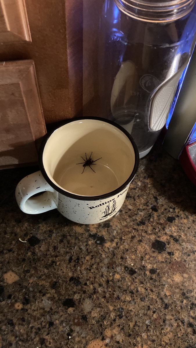 Cloud Jerry tweet media