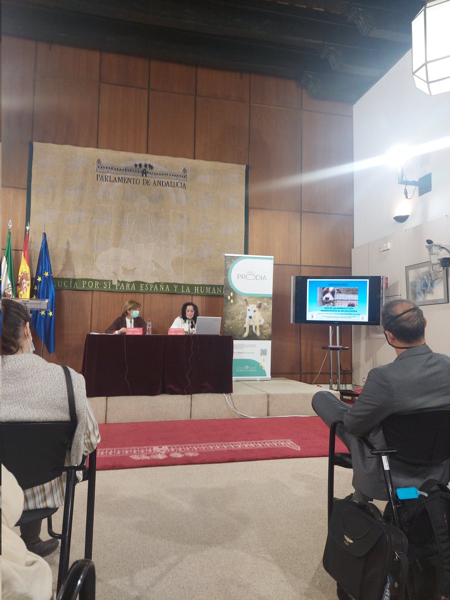ProtectoraTlCdM's tweet photo. Más de 700 animales son abandonados al día en España.

Dulcenombre Aguilera. Presidenta de la Asoc. De Juristas de Córdoba para la defensa animal.

#animales #derechosanimales #prodia #andalucia https://t.co/aBnxcLU90c