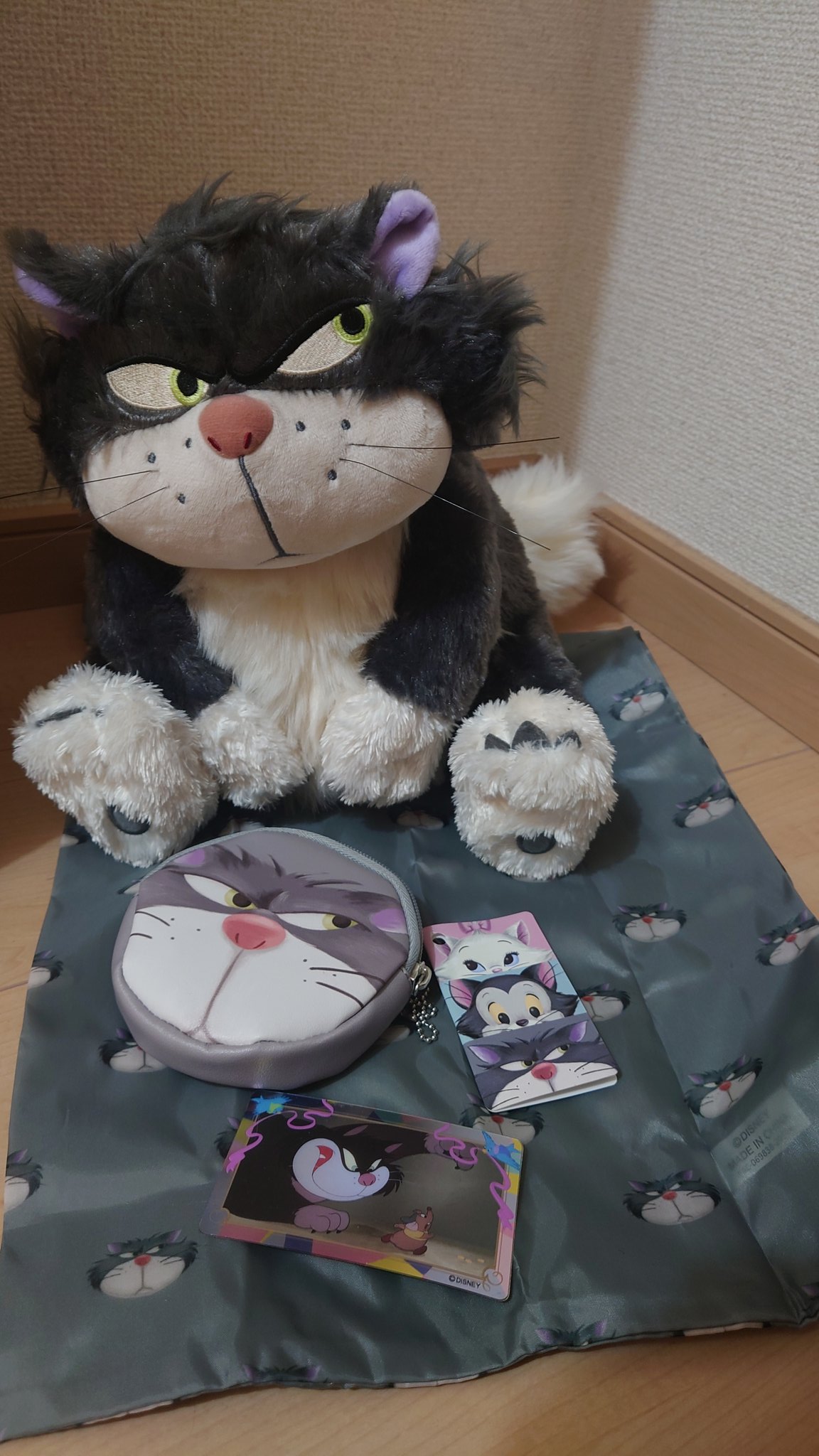 クロム こんなもやってみたw エコバッグに入ってる姿可愛い ディズニー シンデレラ ルシファー T Co Yyyrtyjfnh Twitter