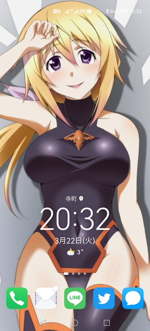 シャルちゃん抱き枕
明日、到着しそうです

縦に長いので、スマホの壁紙なんかとしても使えそうですね 