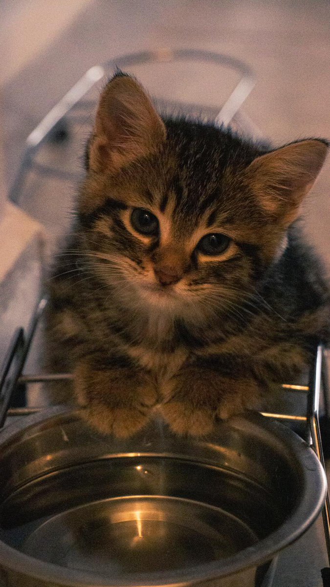 Annm bni su icimlerkn ble raat birakmio hoffff