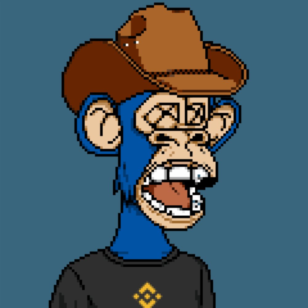 0xSisa's tweet photo. Hello #Degens 
Show me your #BNB Shirt #DegenApe Shirts 

My King is a BNB and a Cowboy https://t.co/ywF0x5X6fW