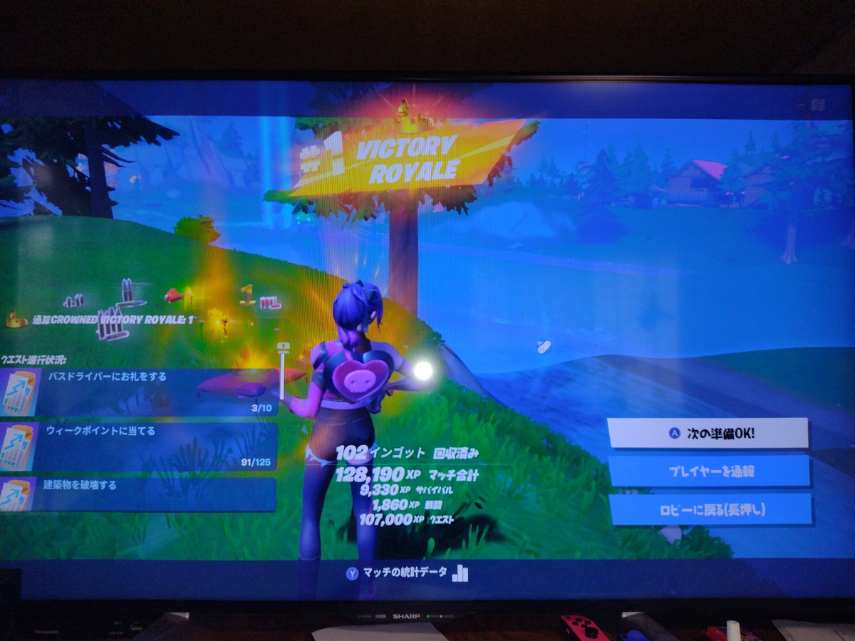 flexiblemouse13's tweet photo. シーズン2やっと初ビクロイ！
#Fortnite 
#シーズン2 https://t.co/NUiDhhj2e4
