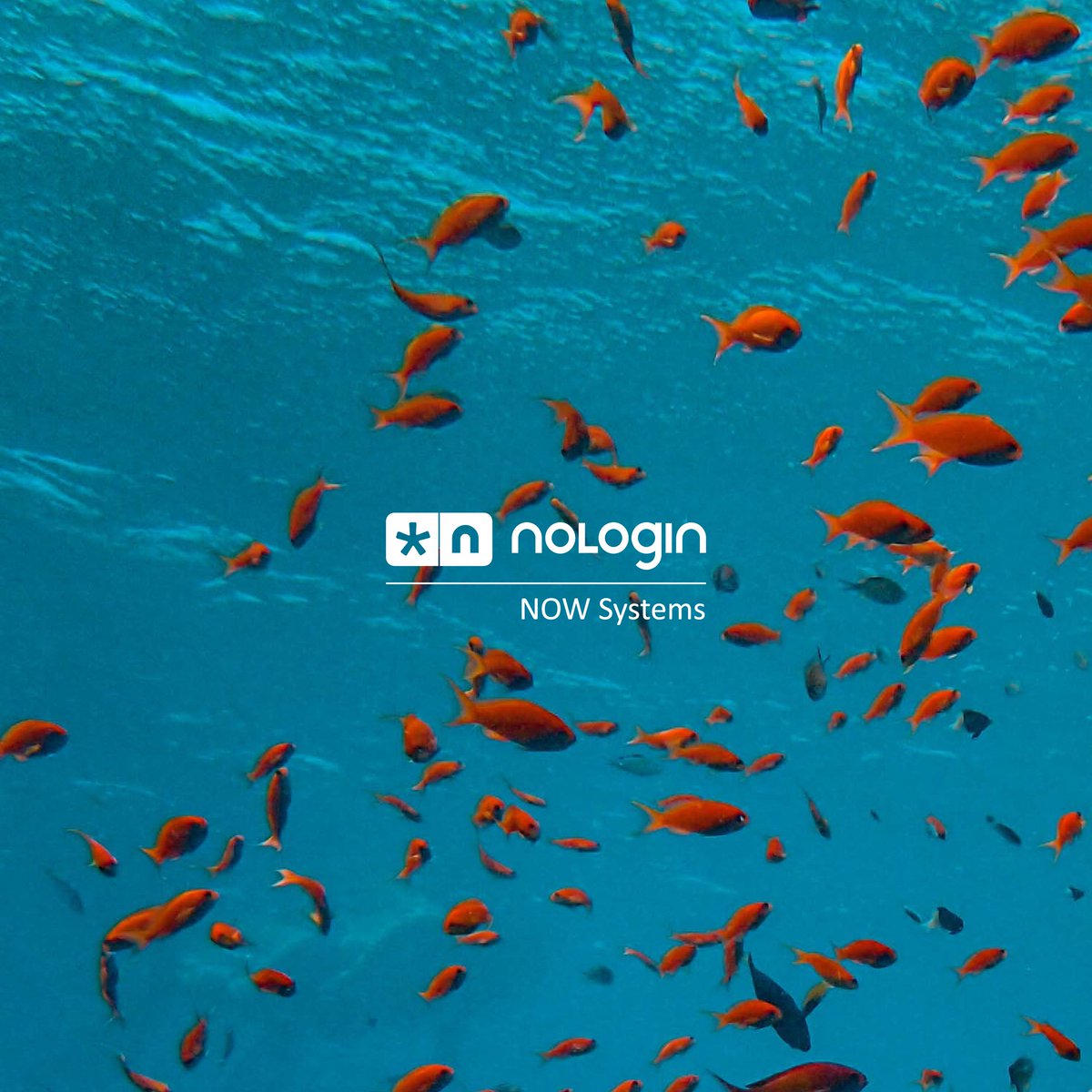 nologin_es's tweet photo. 🌊 ¿Ya conoces la nueva web de #NOWSystems?🐠
Si todavía no la has descubierto puedes echarle un vistazo aquí 👉 https://t.co/HZOEwoS8EK https://t.co/34izXyegrL