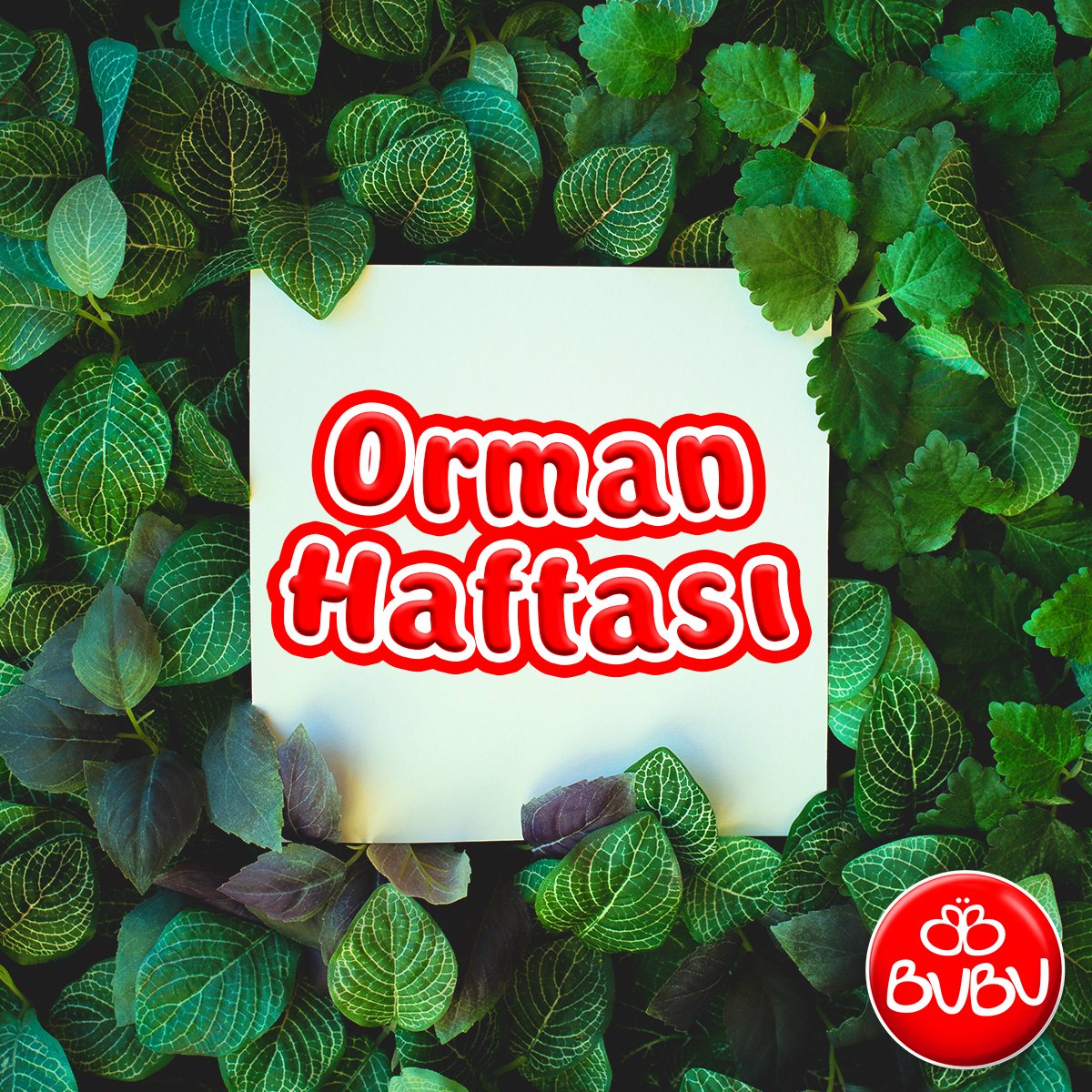 Ormanlar geleceğe bırakılan en büyük mirastır. 21-27 Mart Orman Haftası Kutlu Olsun. "YEŞİLİ SEV, DOĞAYI KORU."

#BUBU #OrmanHaftası #Orman #Ağaç #Doğa #YeşiliSev #YeşiliSevDoğayıKoru