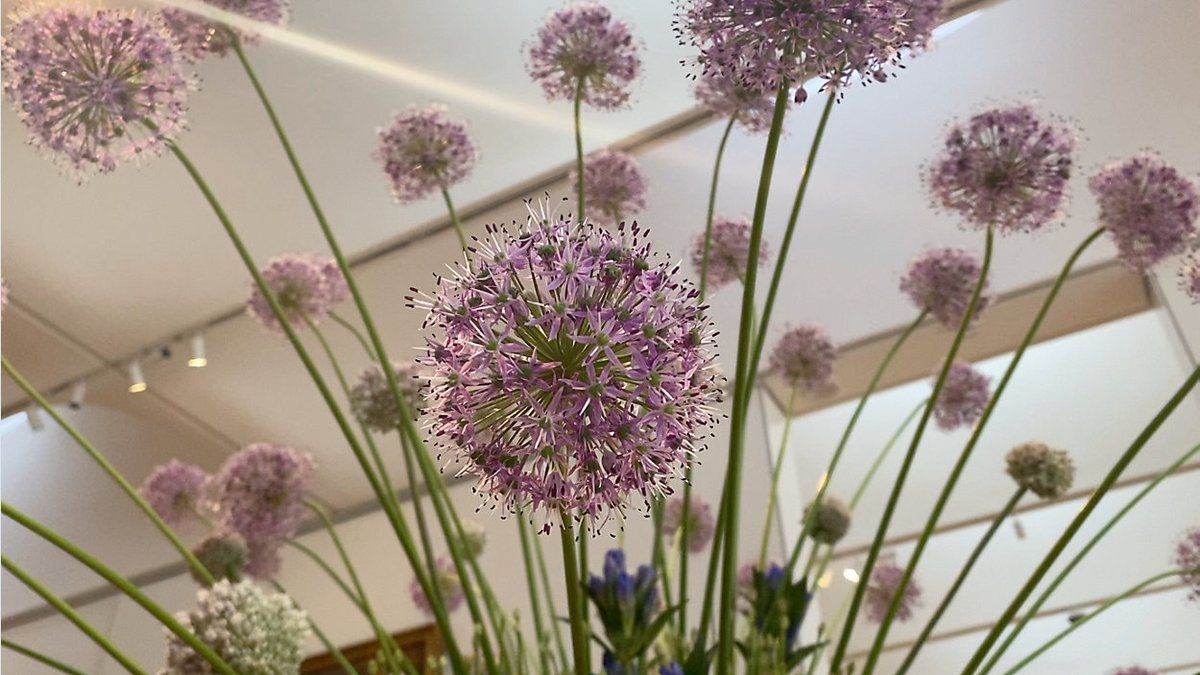 UNC_Health_Care's tweet photo. The amazing "Art In Bloom" festival just completed a great run at the @ncartmuseum! This year's collection included a special floral display from 26 teens, who are hospitalized at @uncchildrens. Thank you #NCMAbloom! #UNC #PNCBloom 
https://t.co/1PlXN1uM2E https://t.co/W4Plilml20