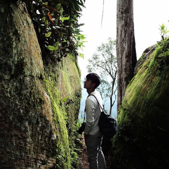 Vhinnew's tweet photo. TayNew AU Oneshot 🔞

◣ Hidden Paradise ◥

Mereka berubah tujuan ketika mereka mengunjungi sebuah tempat yang menyajikan keindahannya. 

Di sinilah mereka menuntaskan nafsunya yang tiba-tiba muncul. Menikmati dinginnnya air dan suara alam yang menenangkan. https://t.co/ZzjKPfdL8u