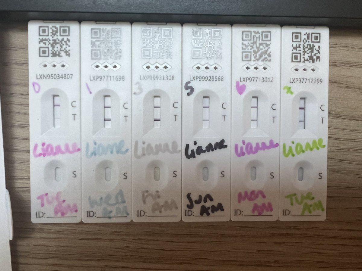 Lianne Onslow tweet media