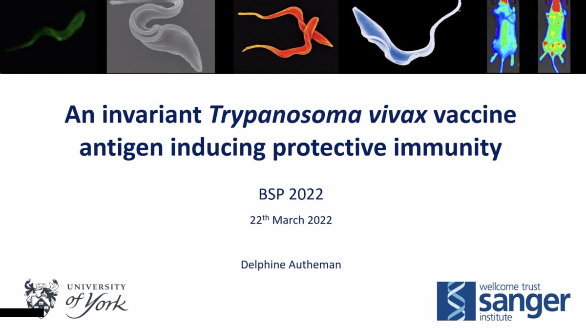 British Society for Parasitology tweet media