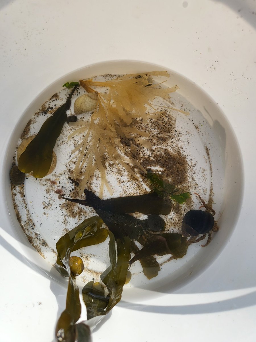 FieldheadCarrPS tweet media