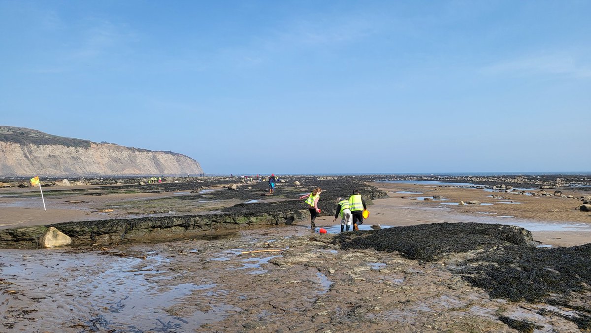 Down on the beach making sand art and rockpooling. #y4residential