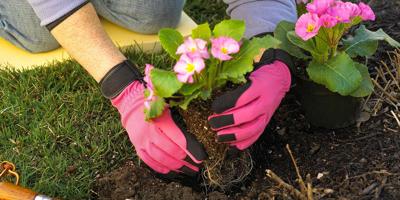 David Lucas tweet media