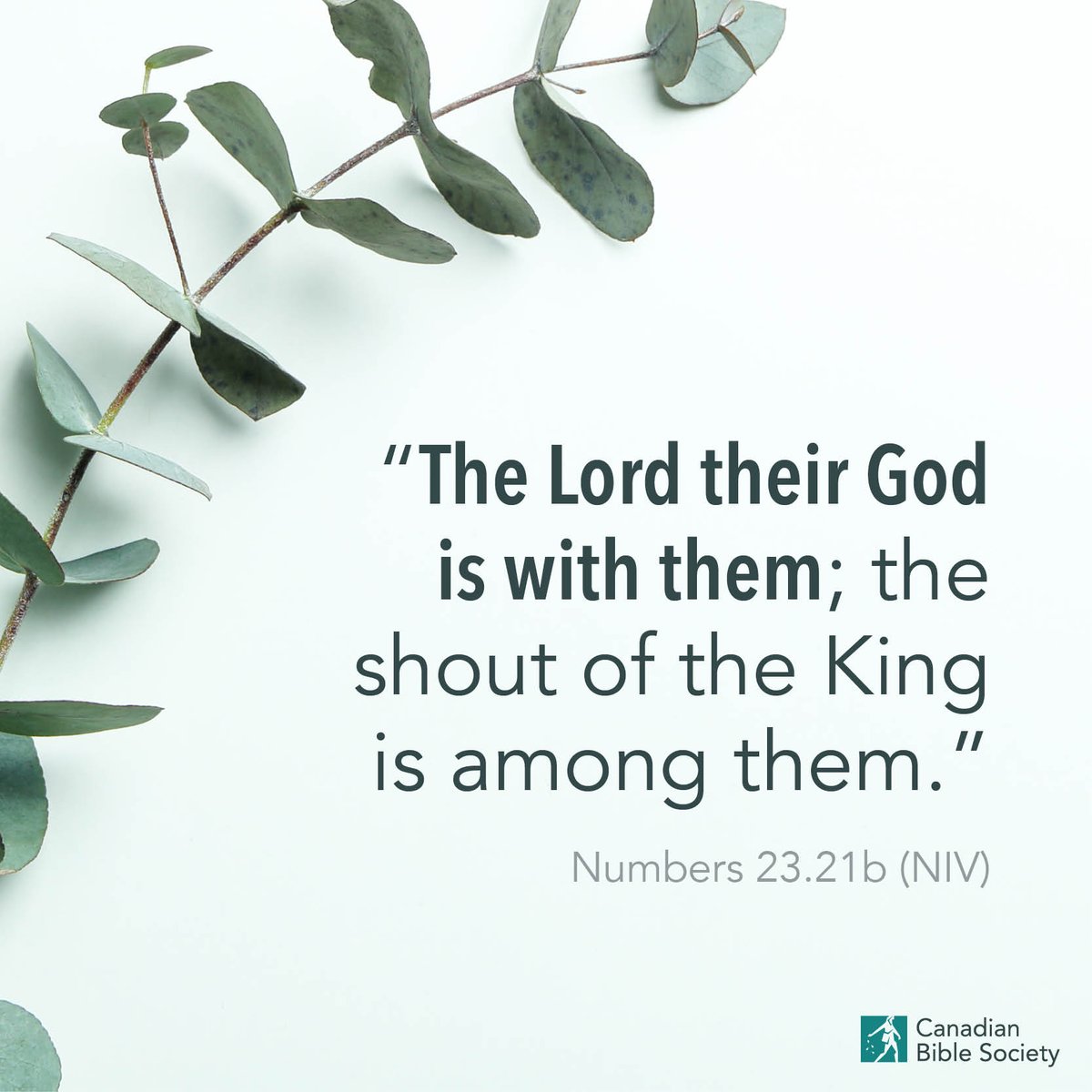 CanadianBible's tweet photo. “The Lord their God is with them; the shout of the King is among them.” 
Numbers 23.21b (NIV) 

 #bibleversedaily #bibleverses #bibleverseoftheday #versesfromthebible #biblestudy_verses #bibledailyverse #dailybiblereading #mydailybibleverse #Numbers23 https://t.co/iXzGSo3UKh