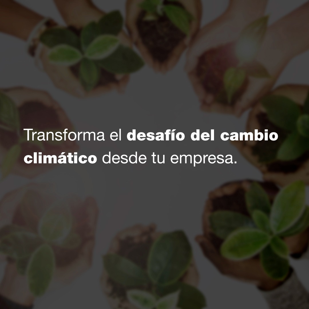 fortegamaranon's tweet photo. ¿Quieres descubrir con nosotros cómo hacer que tu empresa sea sostenible?
El Instituto Universitario Ortega-Marañón y el @IESA abren un Máster con doble titulación en sostenibilidad para organizaciones.
#MasteresIUIOM #IESA #ProgramasOnline
🔗 https://t.co/Idtm8jFi6B https://t.co/uFbDdzTCIA