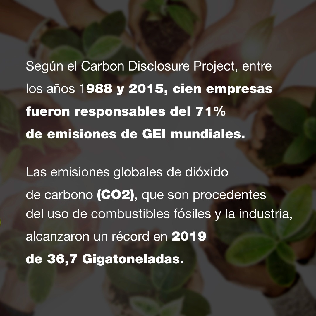 fortegamaranon's tweet photo. ¿Quieres descubrir con nosotros cómo hacer que tu empresa sea sostenible?
El Instituto Universitario Ortega-Marañón y el @IESA abren un Máster con doble titulación en sostenibilidad para organizaciones.
#MasteresIUIOM #IESA #ProgramasOnline
🔗 https://t.co/Idtm8jFi6B https://t.co/uFbDdzTCIA