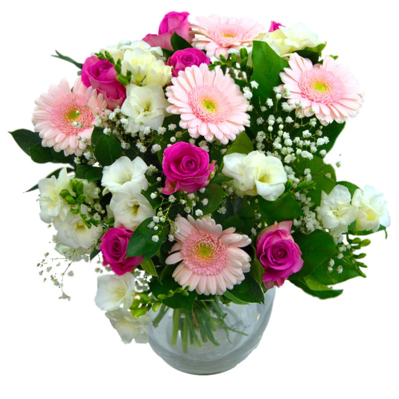 Clare Florist tweet media