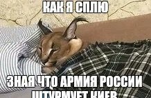 Deamont4's tweet photo. @fainnna2020 https://t.co/qzHE3q0cFx