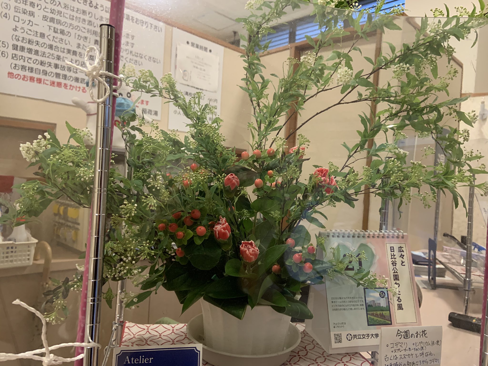 お花 A 5 Www Shipsctc Org