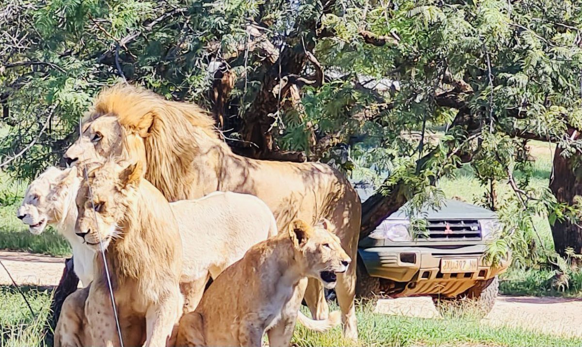 Bertha Matunge tweet media