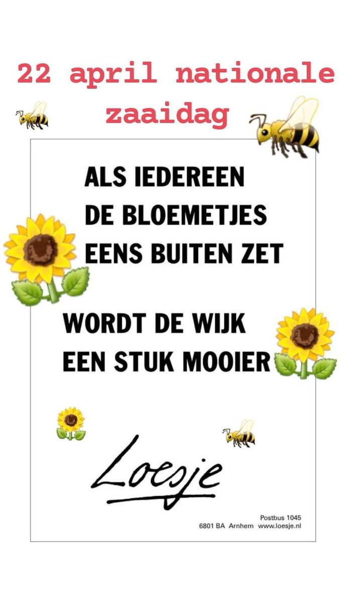 pimlemmers's tweet photo. Zaaien doet Zoemen! #wildebijen #bijen #vlinders #inheems #biologisch #steenbreek #guerillagardening https://t.co/hGmucFUqTZ