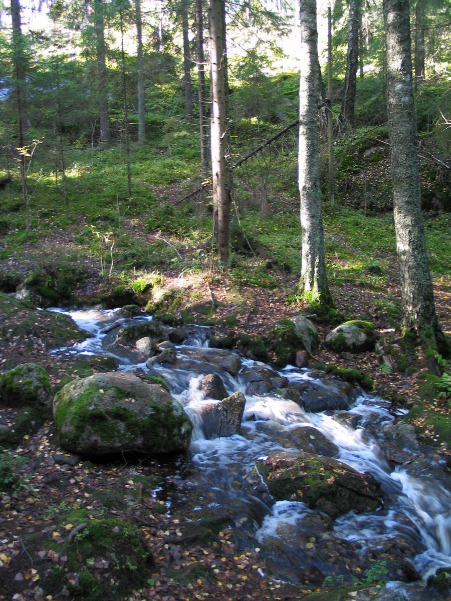 Hyvää maailman vesipäivää!💦Tänä vuonna teemana on #pohjavesi. Pohjavesi on meidän kansallisaarre, tärkeä osa ekosysteemiä ja merkittävä vesihuollon tukijalka. Pidetään yhdessä pohjavesistä hyvää huolta💙 
#maailmanvesipaiva #WorldWaterDay #vesihuolto