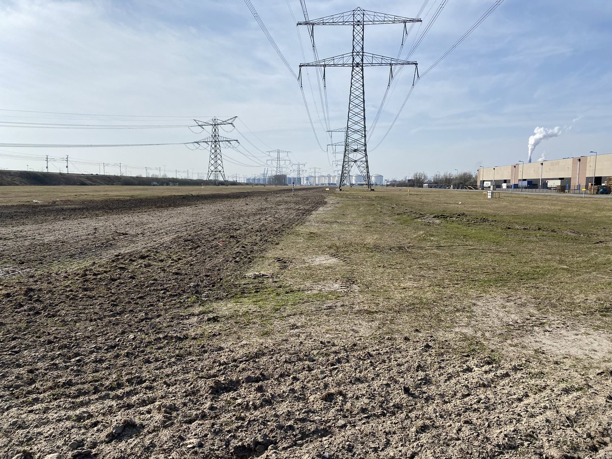 Piet Mout tweet media