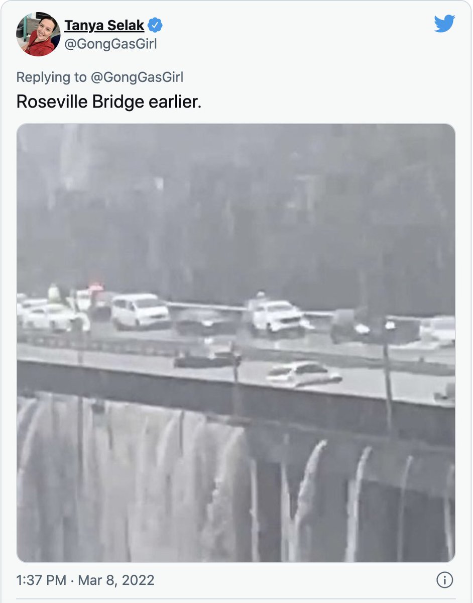 Tweet from @GongGasGirl containing a grey, rainy picture of a high, four-lane bridge with cars floating off the flooded carriageways and water pouring off the side lie a giant waterfall. The tweet is dated 8 March 2022 and is captioned Roseville Bridge