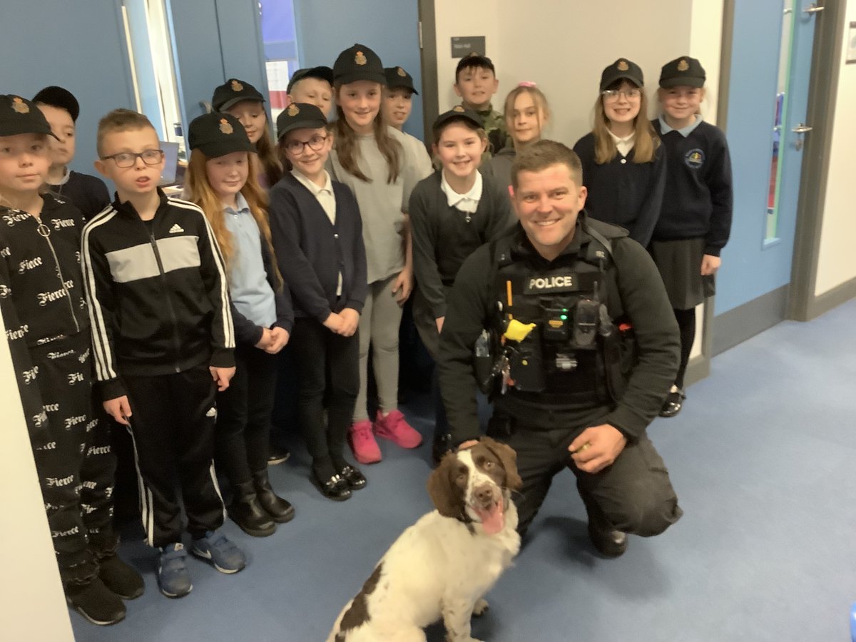 westcornforthps's tweet image. Our Mini Police had a visit last week from PC Lee Wilson and TPD Poppy from Cleveland Police. They asked him lots of questions then they hid some tennis balls for Poppy to find. We all had a fantastic time. @ClevePol_Dogs
