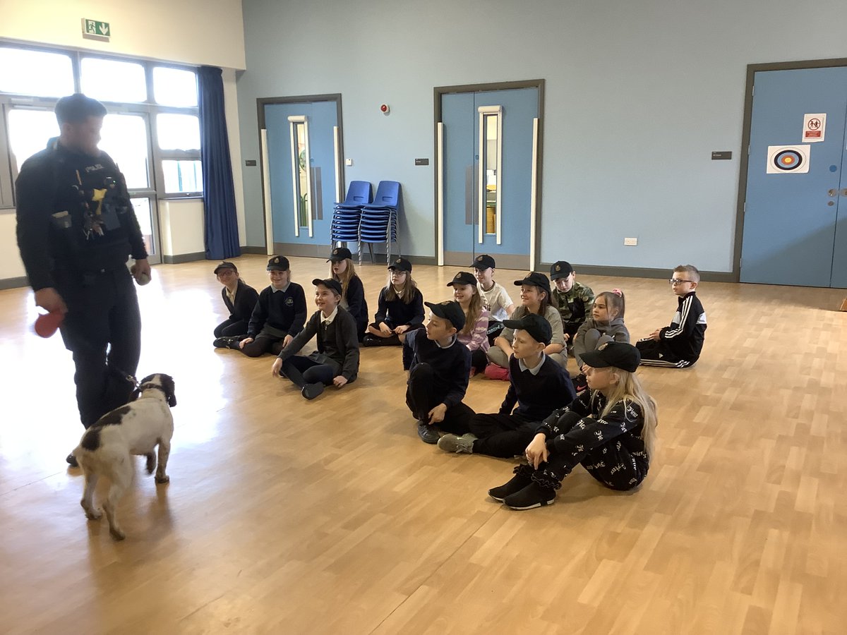 westcornforthps's tweet image. Our Mini Police had a visit last week from PC Lee Wilson and TPD Poppy from Cleveland Police. They asked him lots of questions then they hid some tennis balls for Poppy to find. We all had a fantastic time. @ClevePol_Dogs