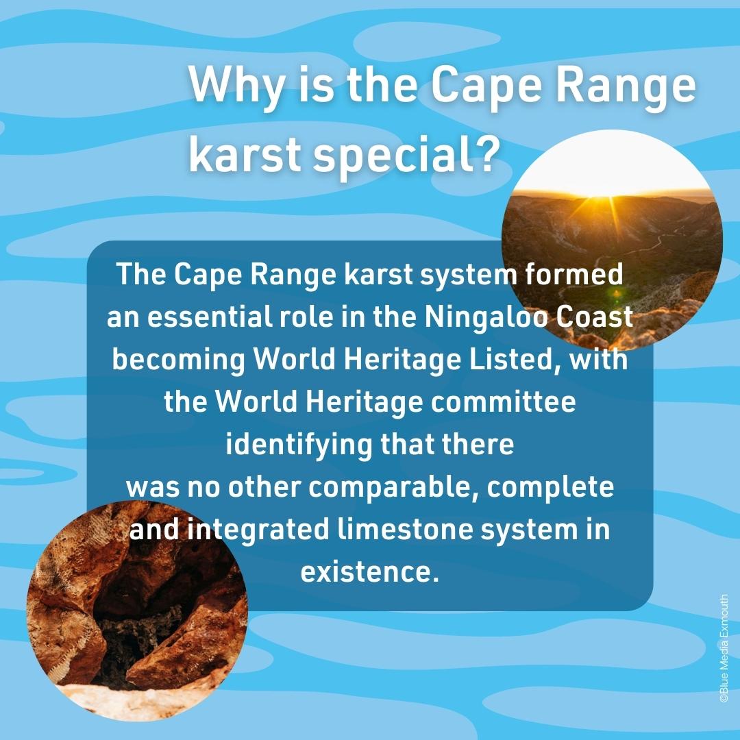 protectningaloo's tweet photo. This #WorldWaterDay weβre making the invisible visible by delving into the hidden world of groundwater & celebrating the #CapeRange subterranean waterways and karst system, which are are an outstanding natural feature of the #ExmouthGulf #Ningaloo region. https://t.co/kyujSJeVjU