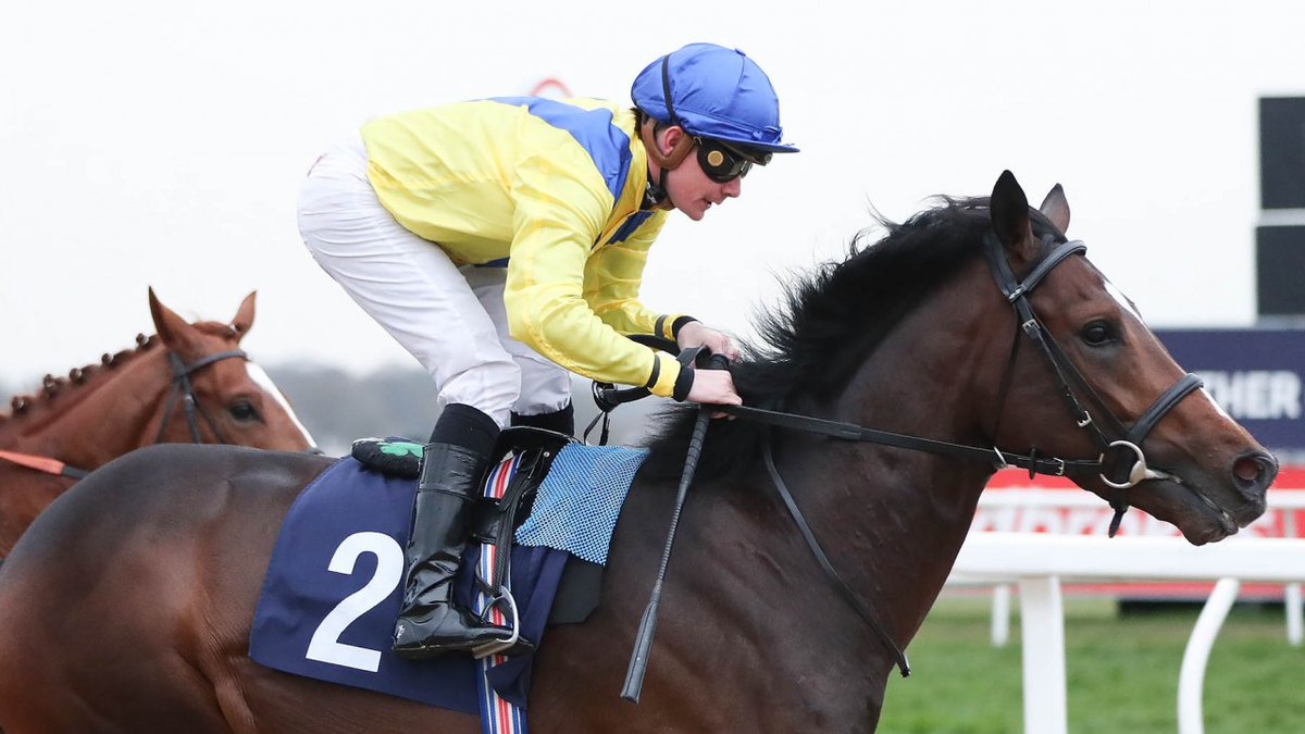 Son of IGUGU to race in Australia for <a href="/GulfRacingClub/">Gulf Racing Club</a> @GriffithsdeKock @VermaakEquine  
Click here for more! 
vermaakequine.com/grc-secure-son…