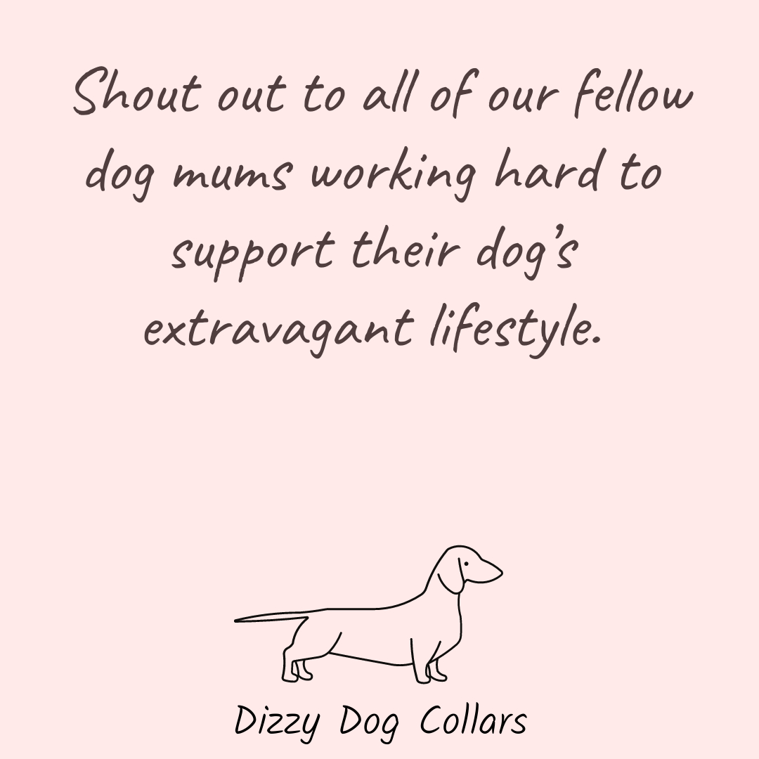 What Happens When A Dog Gets Dizzy