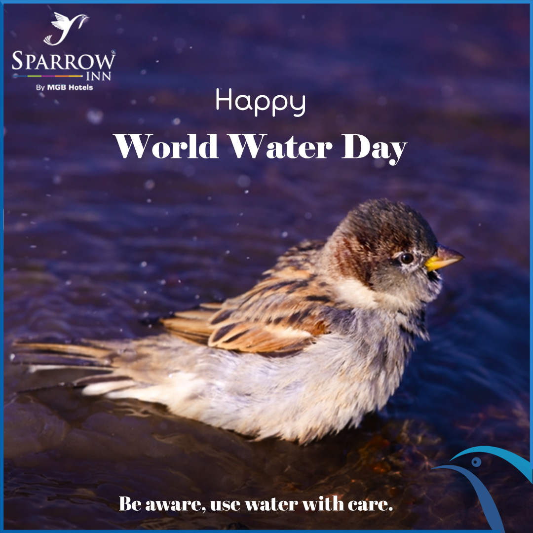 AlwarMgb's tweet photo. It is a day to learn, celebrate, reflect, and make a difference in water management around the world. Wishing you a happy World Water Day. 

#SparrowInnByMGB #Hotels #HotelsInAlwar #MGBHotels #Alwar #WorldWaterDay #WaterDay #SaveWater #PureWater #DrinkingWater #WaterIslife https://t.co/QupctmYu1k