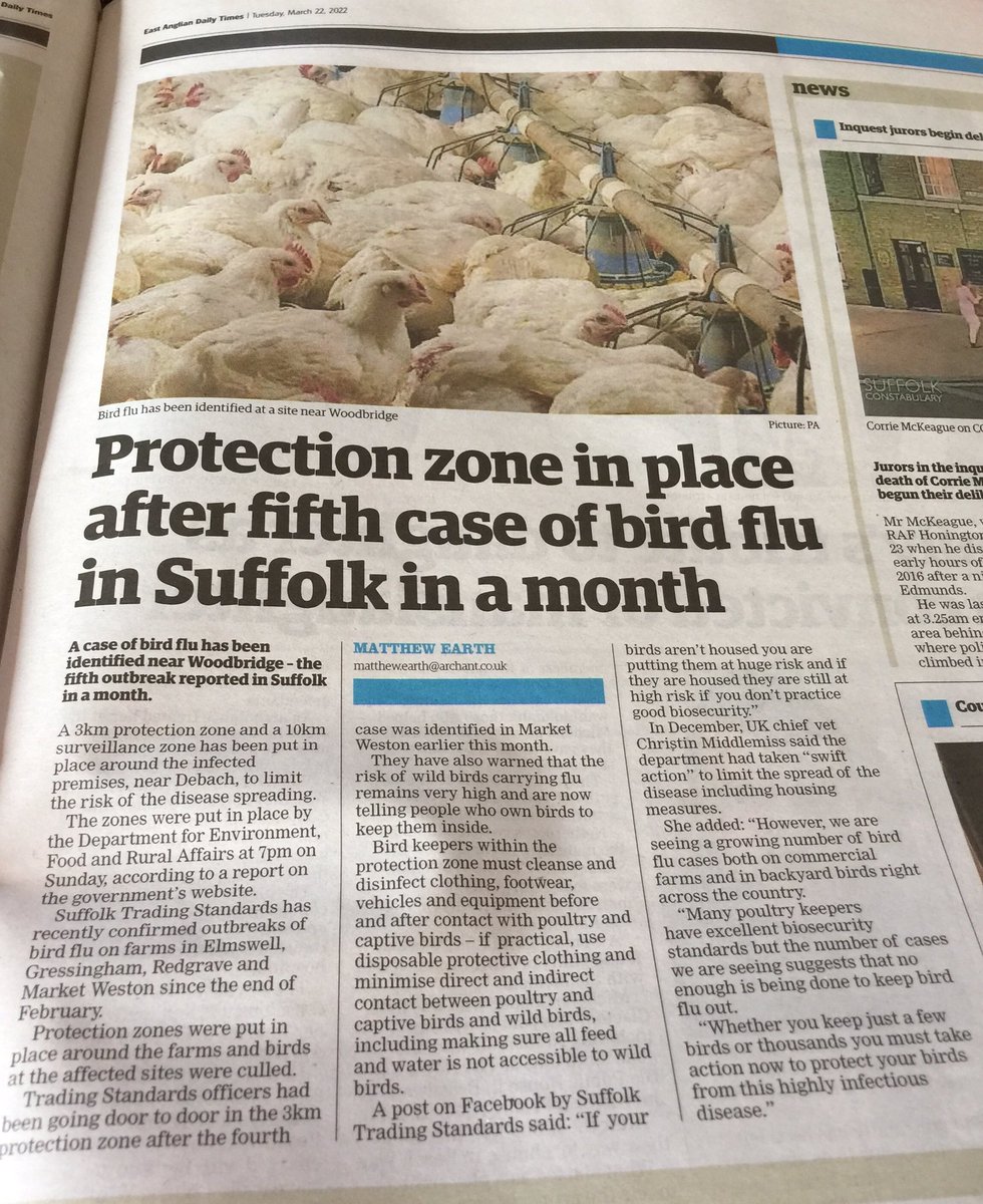 countrymousie's tweet photo. Sadly more bird flu in the area #woodbridge #Debach #Suffolk https://t.co/QpNPjK9SZg