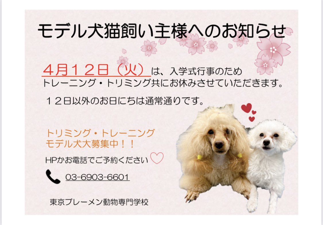 東京ブレーメン動物専門学校 Tokyobremen16 Twitter