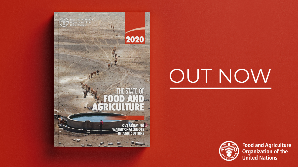 FAOSocioEcon's tweet photo. Today is #WorldWaterDay #WWD2022💧
A good time to review our #SOFA2020 edition with its theme: Overcoming water challenges in agriculture
📕 https://t.co/RDZ8s3L7ak https://t.co/otfyQmHRbE