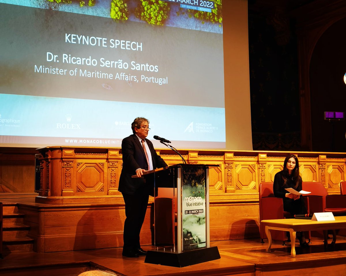 Mar PT 🇵🇹 tweet media