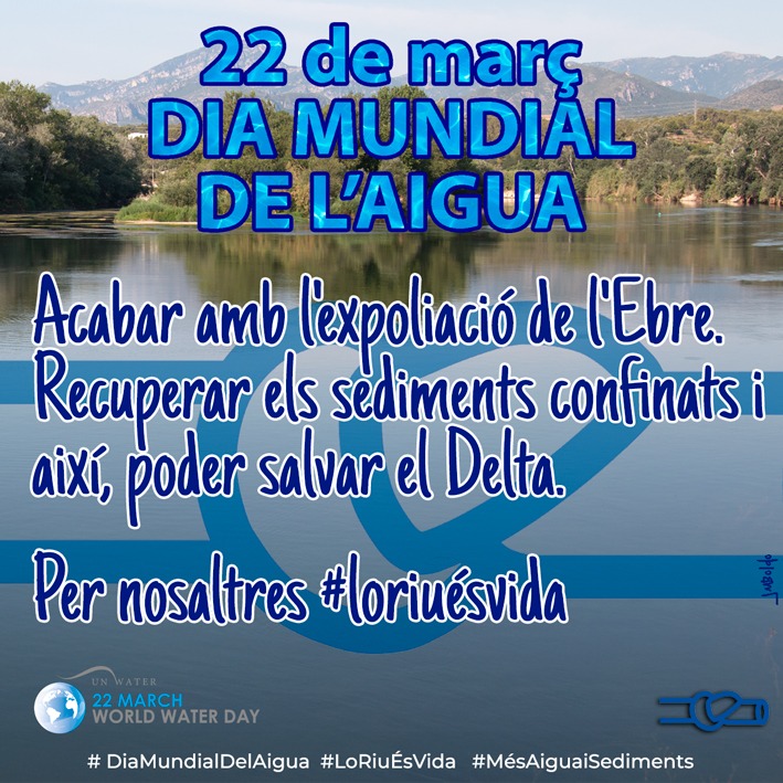 RAPAAragon's tweet photo. Hoy, #DiaMundialdelAgua, no olvidamos que en Aragón, #aguaysaneamiento son asignaturas pendientes.
Mientras el #CambioClimatico nos lleva a sequías y lluvias torrenciales, seguimos con una política pantanera de época franquista.
Los #ríossonvida y #DeltaEbro sigue amenazado. https://t.co/9RoPSUyKg7