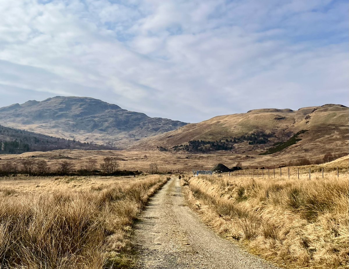 Stephanie Boyle tweet media