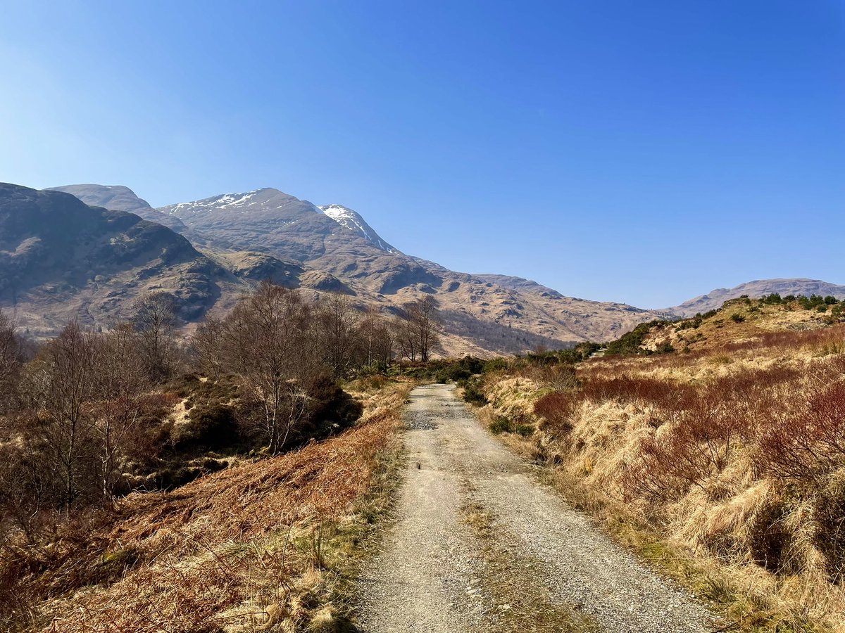 Stephanie Boyle tweet media