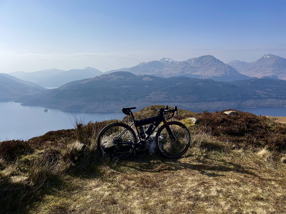 Stephanie Boyle tweet media