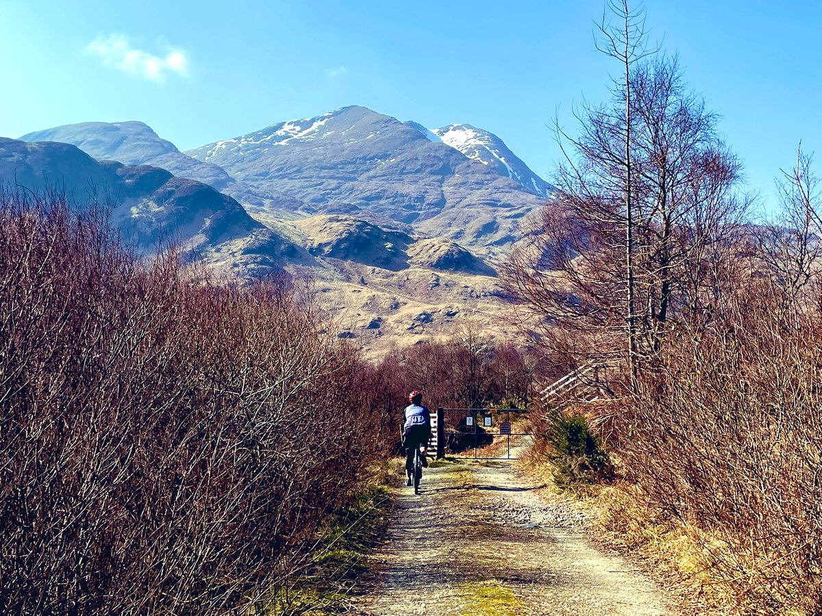 Stephanie Boyle tweet media