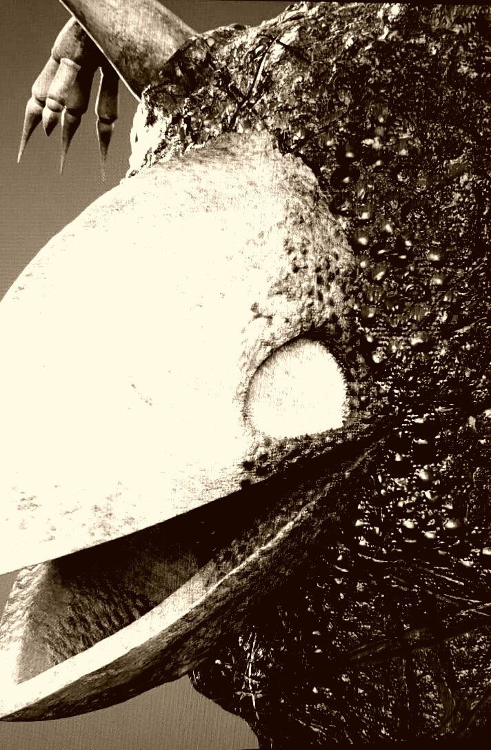 The_Okirian tweet picture