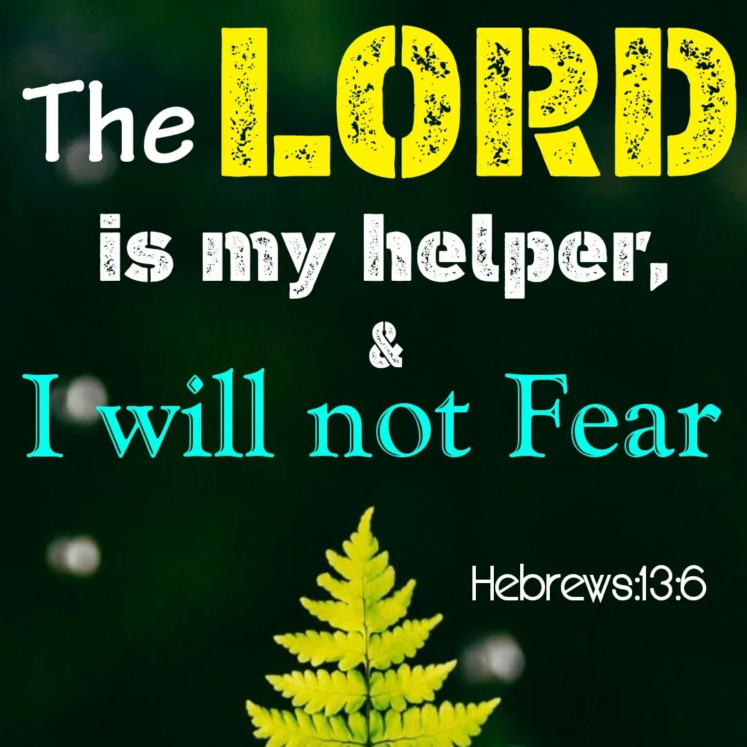 BiblePixel's tweet photo. The LORD is my helper, and I will not fear... Hebrews : 13 :6
TamilBible |
#tamil #bible #tamilbible #tamilbibleverse #biblequotes #biblestudy #blessed  #jesus #jegan #JesusChrist  #goodvibes #tamilchristian #christian #gospel #motivation #bibleverse #biblepixel #bibleintamil https://t.co/XqB2KXoaos