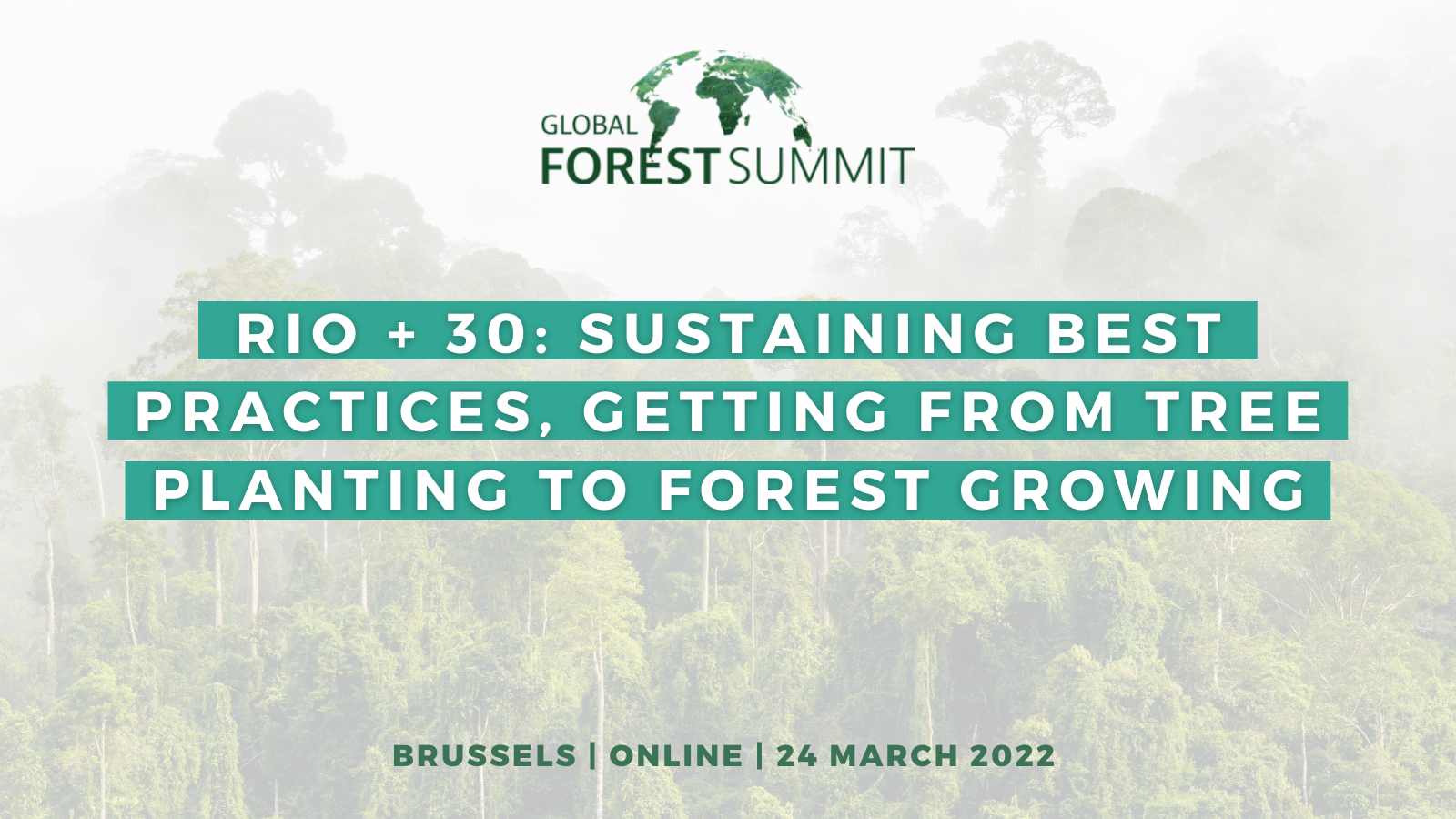 Global Forest Summit on Twitter: 